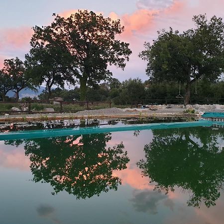 הוילה San Rufo Agriturismo Albero Del Miele מראה חיצוני תמונה