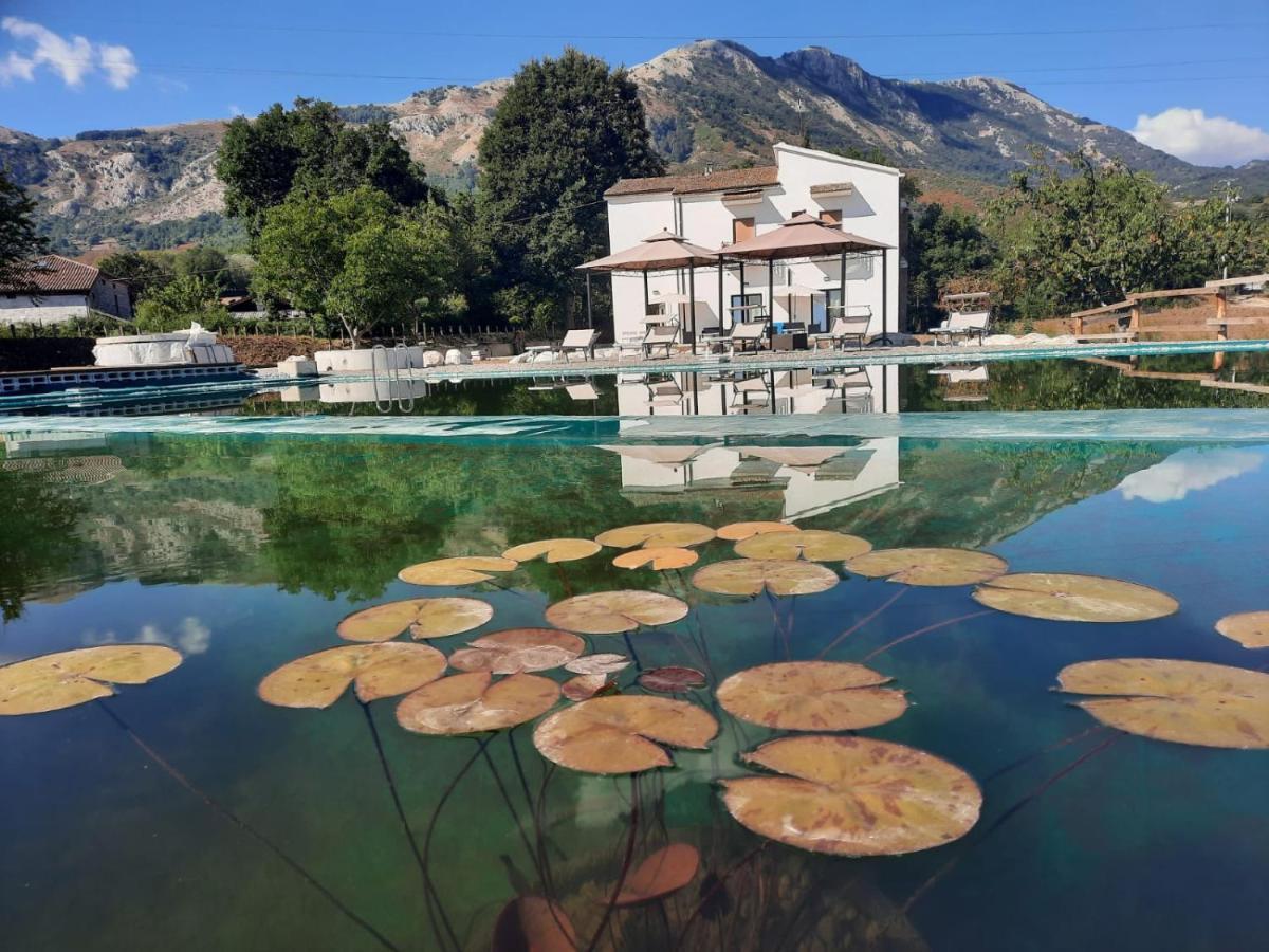הוילה San Rufo Agriturismo Albero Del Miele מראה חיצוני תמונה